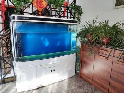 水族箱養護指南：二手魚缸水族箱如何選擇
