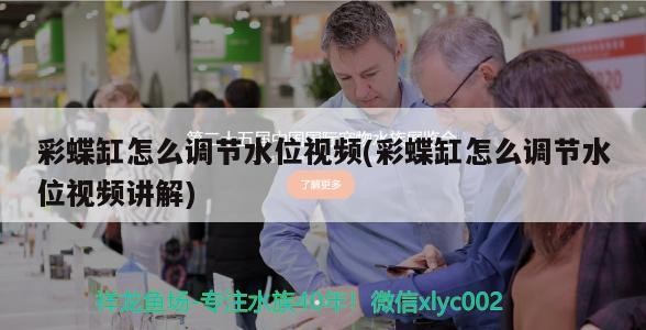 彩蝶缸怎么調節水位視頻(彩蝶缸怎么調節水位視頻講解)
