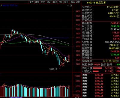 徐州市泉山區競翔水族店（徐州市泉山區競翔水族店地址）