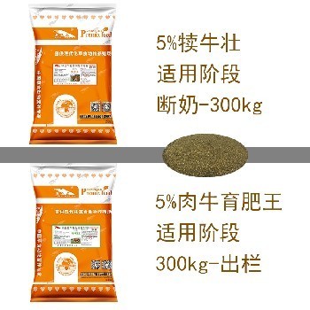 銀龍魚的養(yǎng)殖方法和注意事項(xiàng)圖片欣賞大全大圖（銀龍魚養(yǎng)殖方法及注意事項(xiàng)）