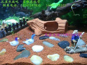 懷柔區有多個地方可以購買魚缸或相關的水族用品：北京哪里可以買水族箱？