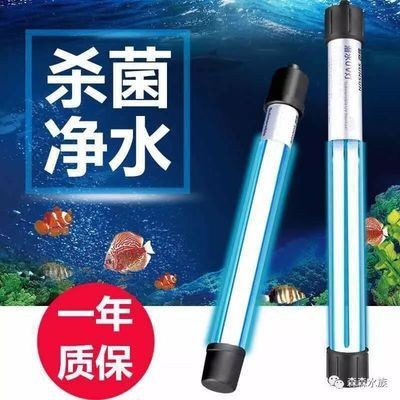 魚缸換水時是否需要使用殺菌燈：魚缸換水時是否使用殺菌燈