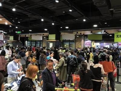 金龍魚位置