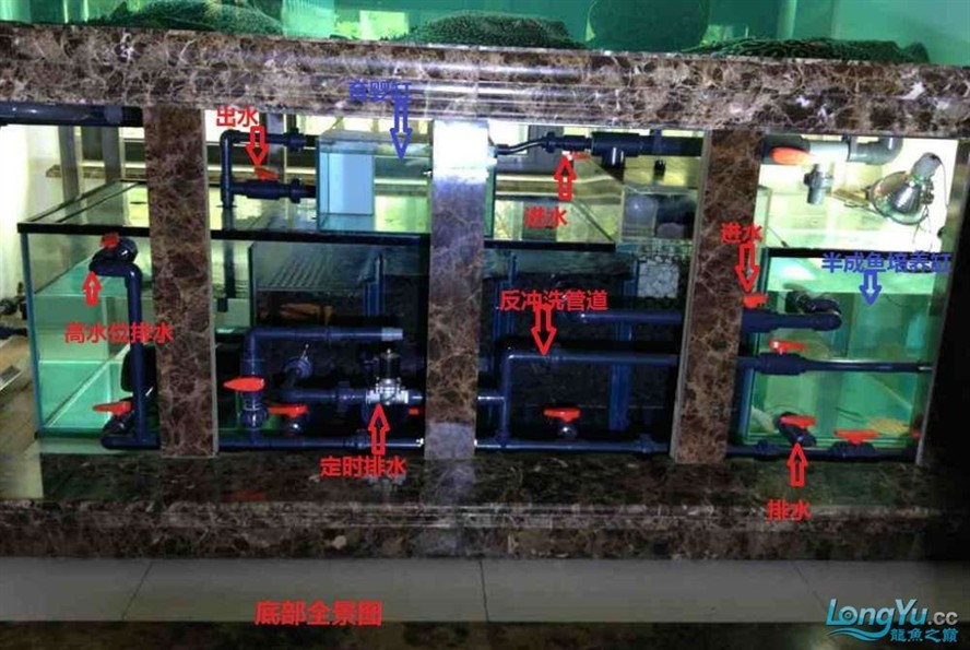 魚缸底部排水魚缸底濾與水質調節魚缸底濾系統的利弊：底部排水魚缸底濾與水質調節魚缸底濾系統的運作機制 魚缸底部排水魚缸底濾與水質調節魚缸底濾系統的利弊：底部排水魚缸底濾與水質調節魚缸底濾系統的運作機制 魚缸百科 第2張