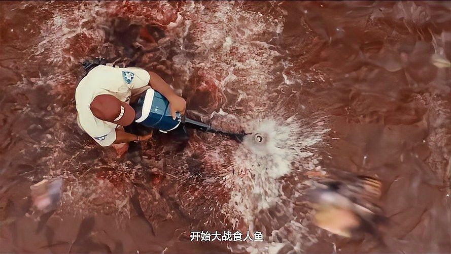 巨型食人魚，幾種不同風(fēng)格的10 - 30字標(biāo)題示例供你參考，，驚！巨型食人魚現(xiàn)身水域，生態(tài)平衡遭威脅，探秘，神秘巨型食人魚的生存奧秘大揭秘，警惕！兇猛巨型食人魚入侵，水域安全引擔(dān)憂