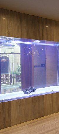麗江魚缸批發(fā)市場