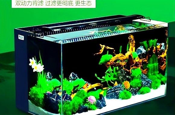 健康水族是雜牌嗎知乎