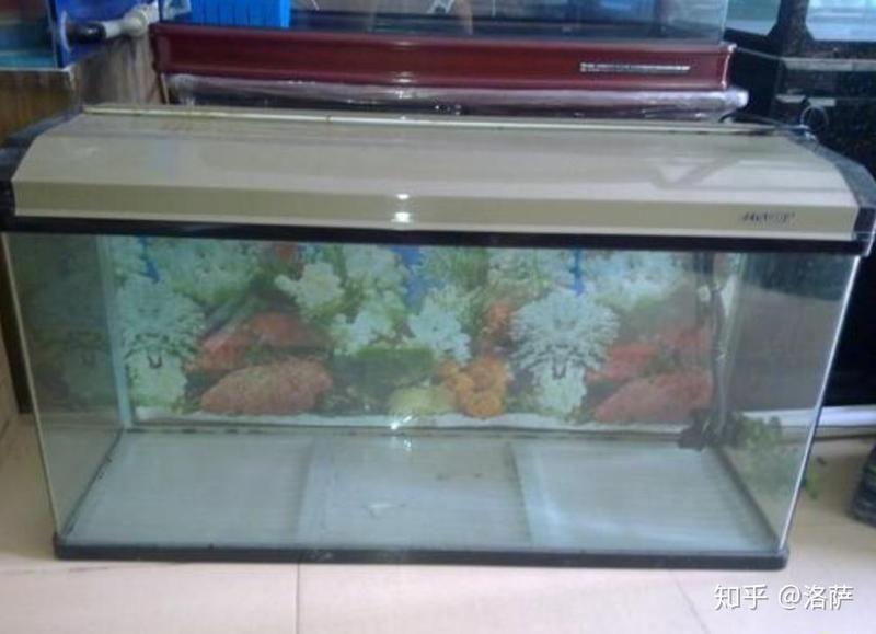 健康水族是雜牌嗎知乎