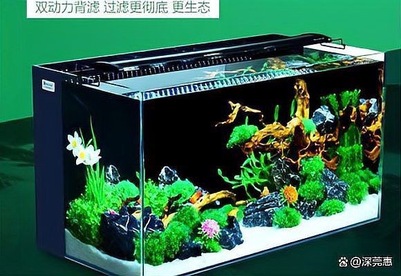 健康水族是雜牌嗎知乎