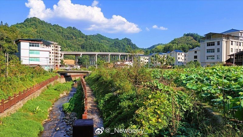 光唇魚能和什么魚混養(yǎng) 全國水族館企業(yè)名錄 第14張 光唇魚能和什么魚混養(yǎng) 光唇魚能和什么魚混養(yǎng) 全國水族館企業(yè)名錄 第14張