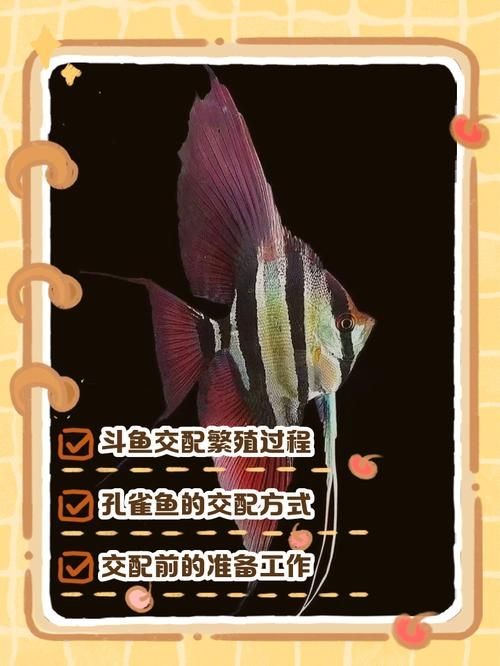 公魚和母魚配對圖片