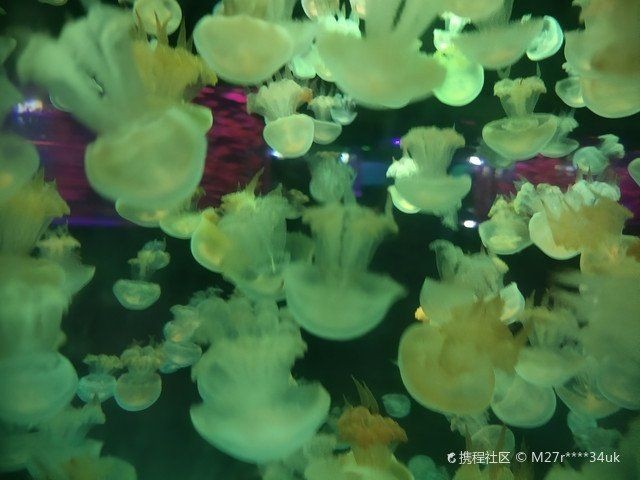 臨沂水族店 臨沂水族店 全國水族館企業(yè)名錄 第8張