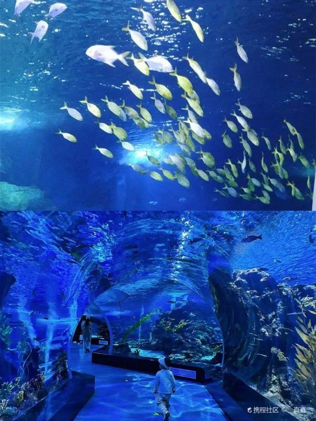 臨沂水族店 臨沂水族店 全國水族館企業(yè)名錄 第6張