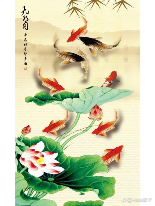 九鯉魚圖片大全大圖
