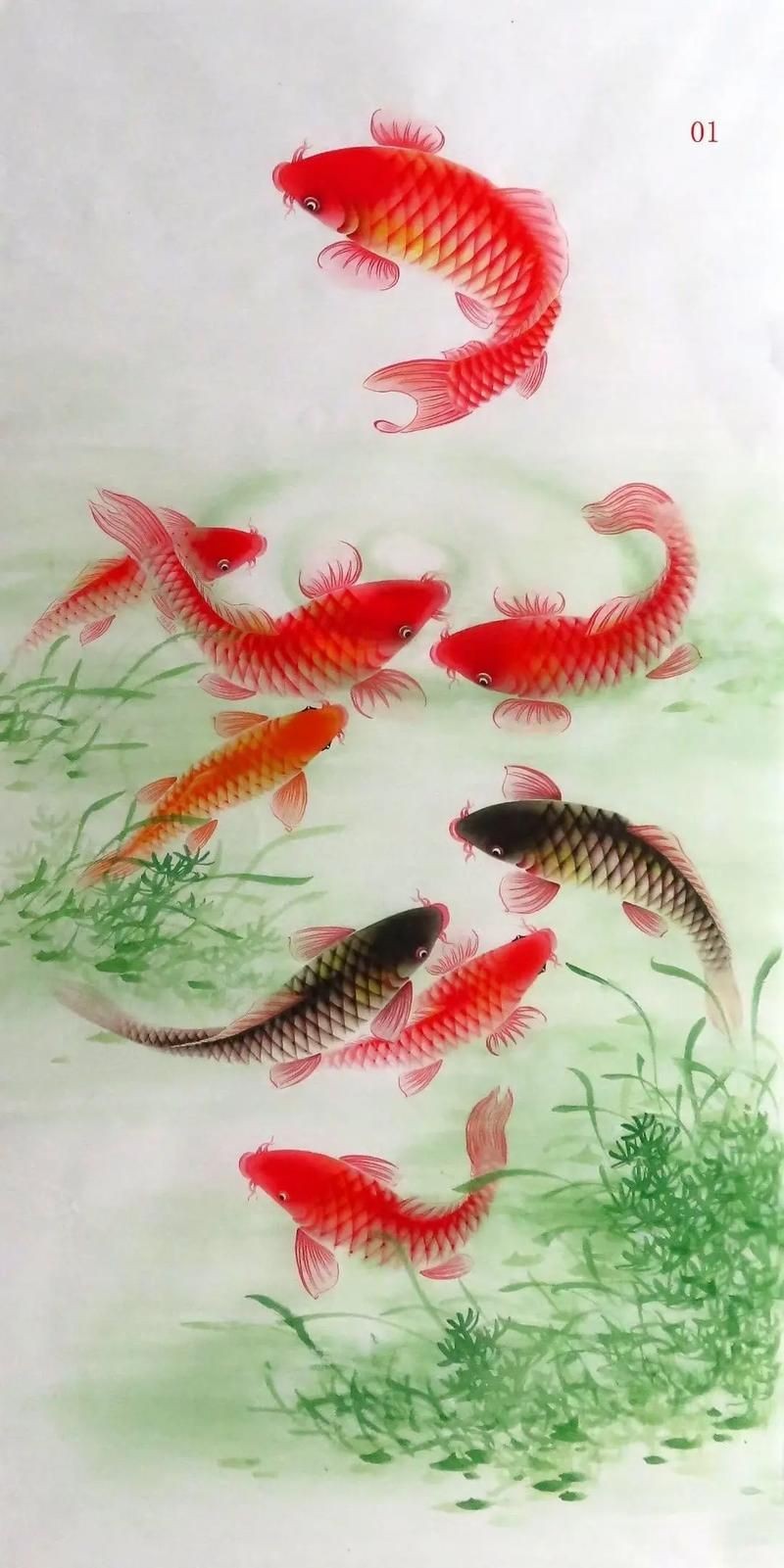 九鯉魚圖片大全大圖