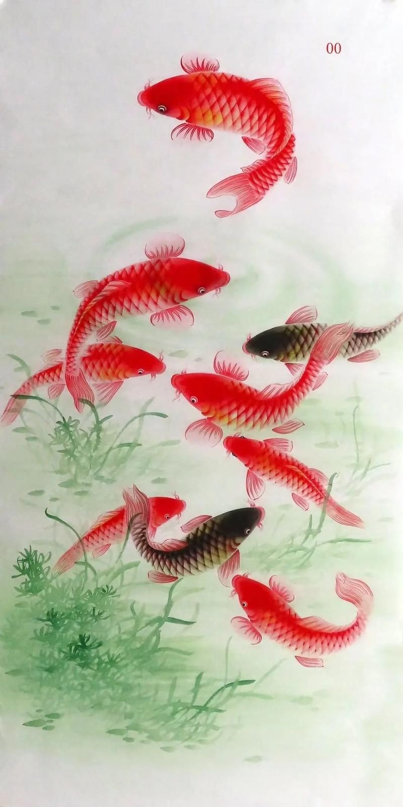 九鯉魚圖片大全大圖