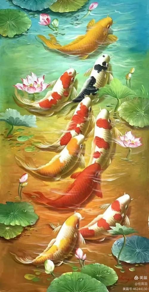 過背金龍魚的養(yǎng)護(hù)建議（養(yǎng)殖金龍魚需要注意哪些問題）