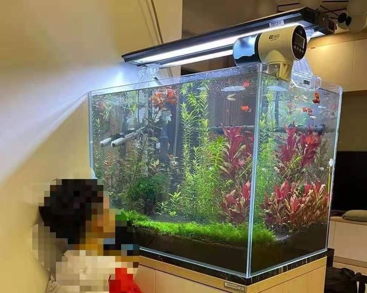 吉印魚缸水族箱最簡單三個步驟