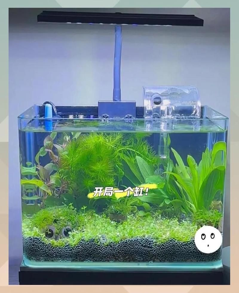 吉印魚缸水族箱最簡單三個步驟