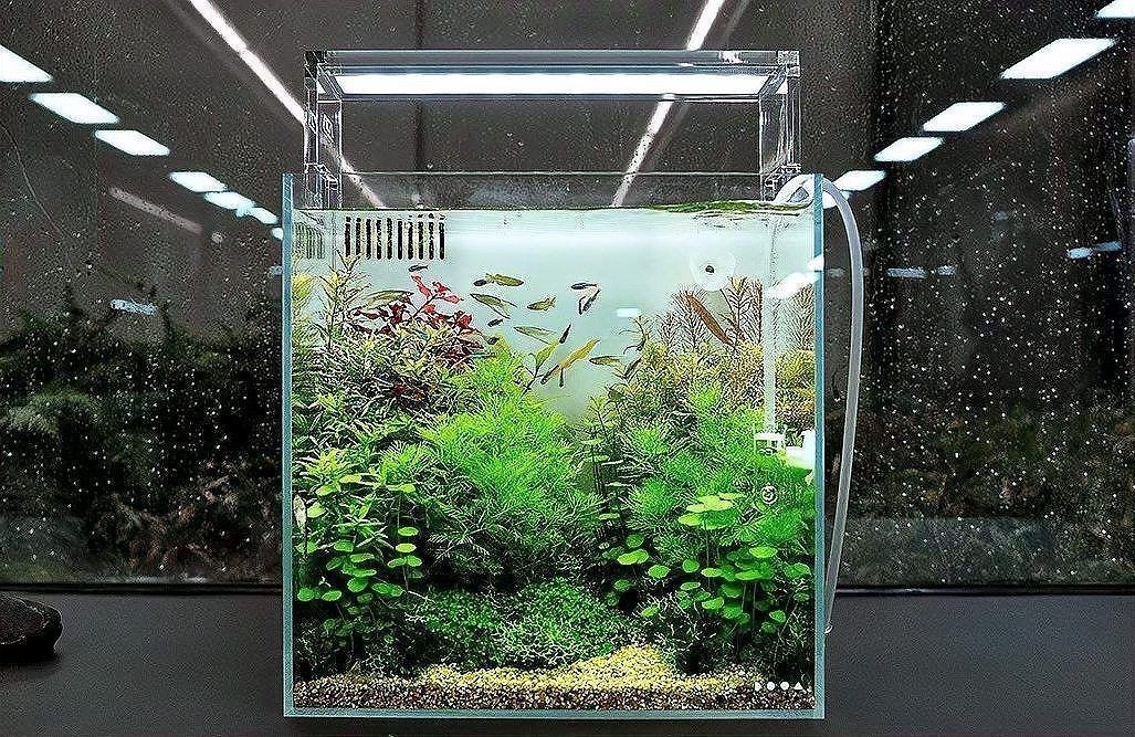 吉印魚缸水族箱最簡單三個步驟