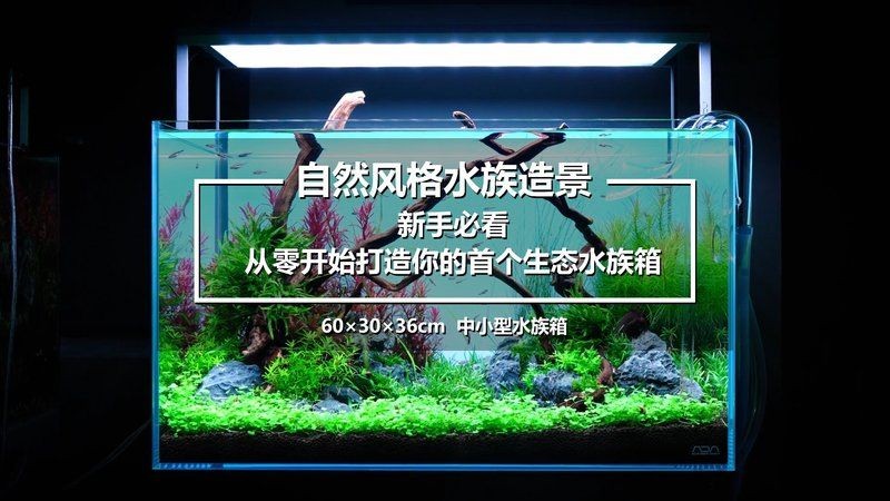 吉印魚缸水族箱最簡單三個步驟