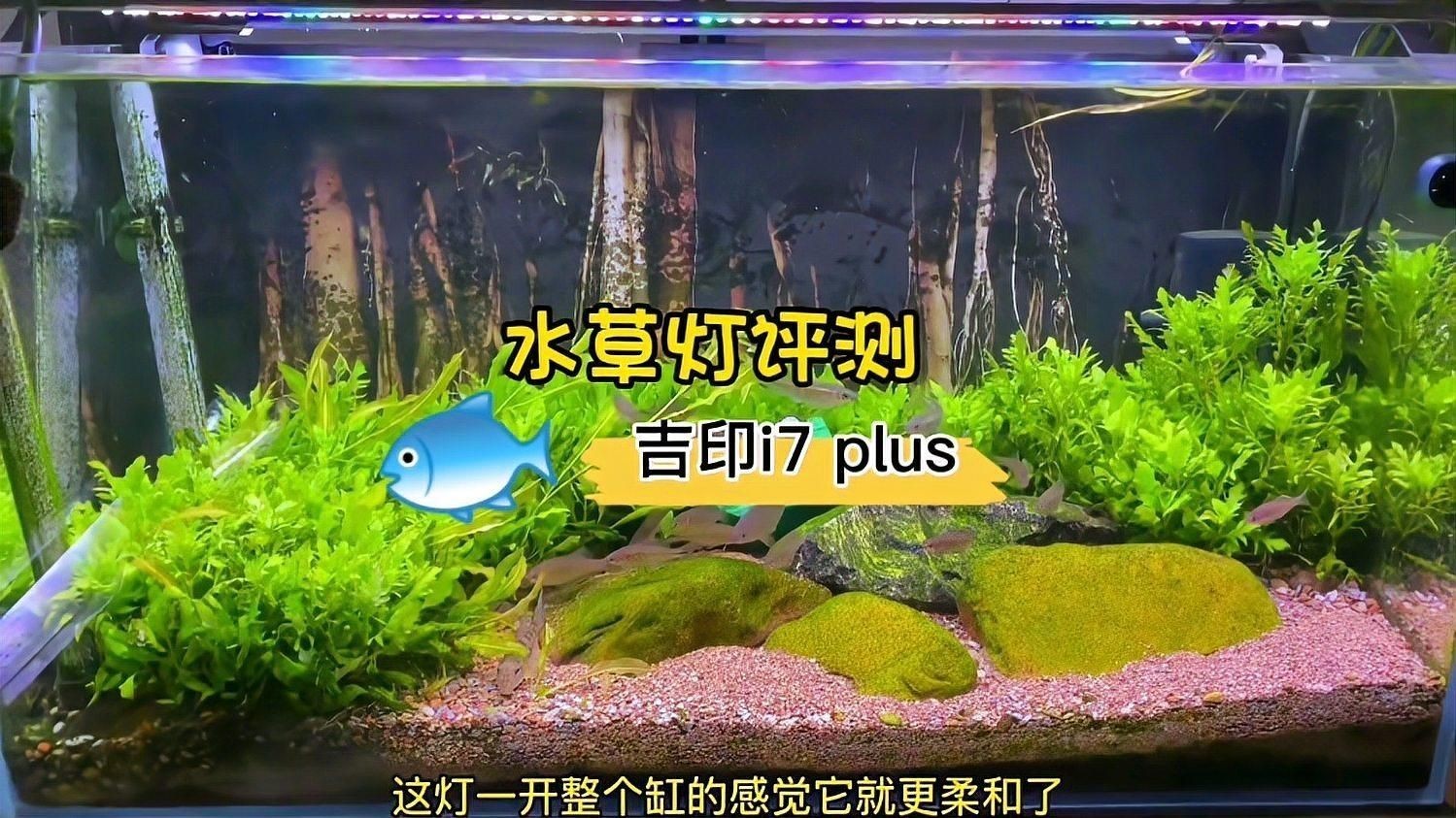 吉印的水草燈怎么樣