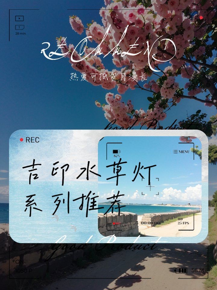 吉印的水草燈怎么樣