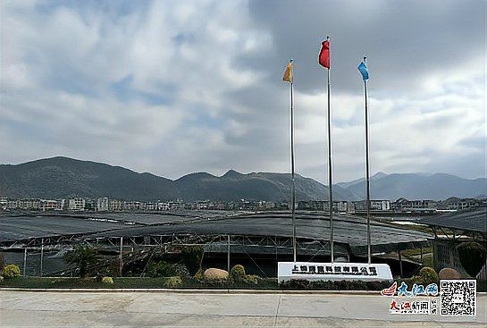 上饒水族批發市場