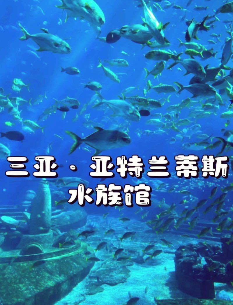 三亞水族館，示例供你參考，，三亞·水族奇境，三亞水族探秘，三亞幻彩