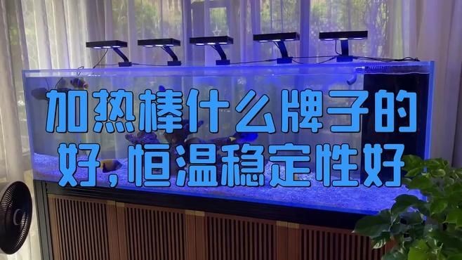 加熱棒選森森還是創寧，森森vs創寧加熱棒，咋