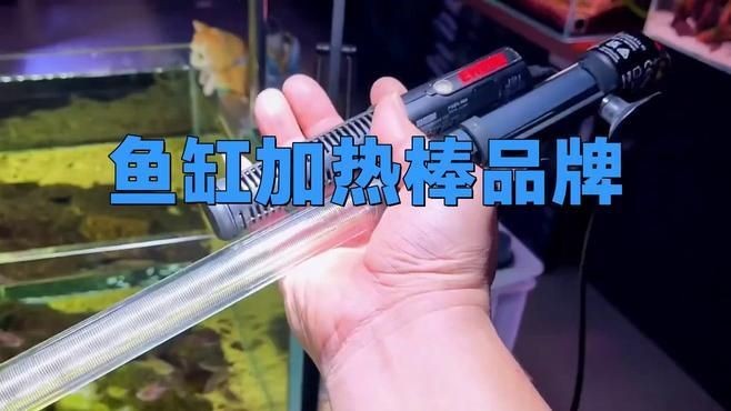 加熱棒選森森還是創寧，森森vs創寧加熱棒，咋