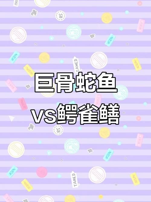 巨骨舌魚和鱷雀鱔的圖片，巨骨舌魚與鱷雀鱔同框，罕見雙雄
