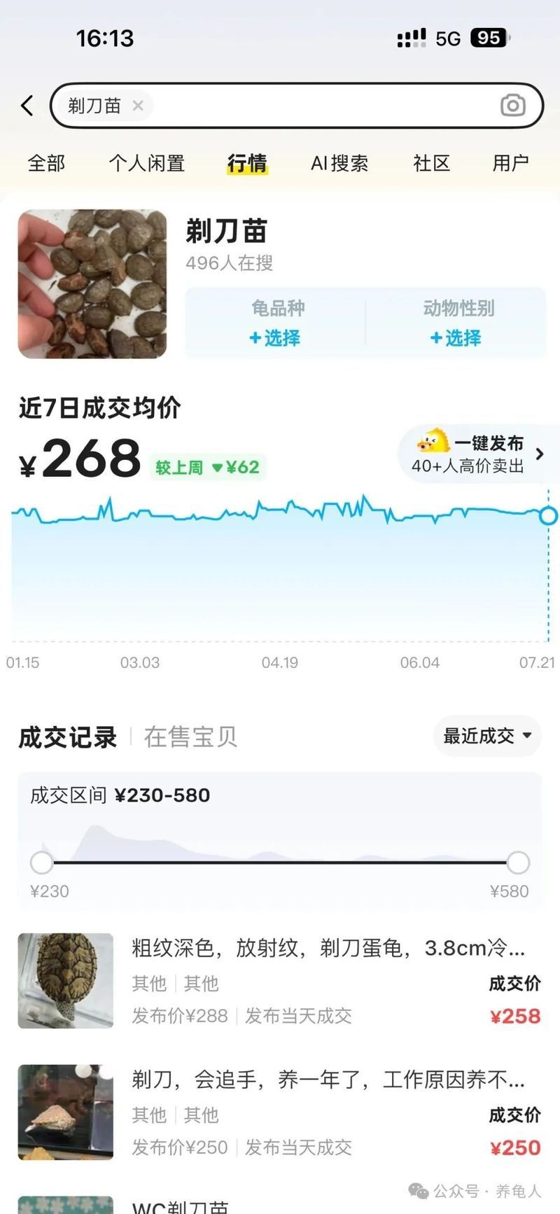 巨頭和剃刀和虎紋的區別，剃刀與虎