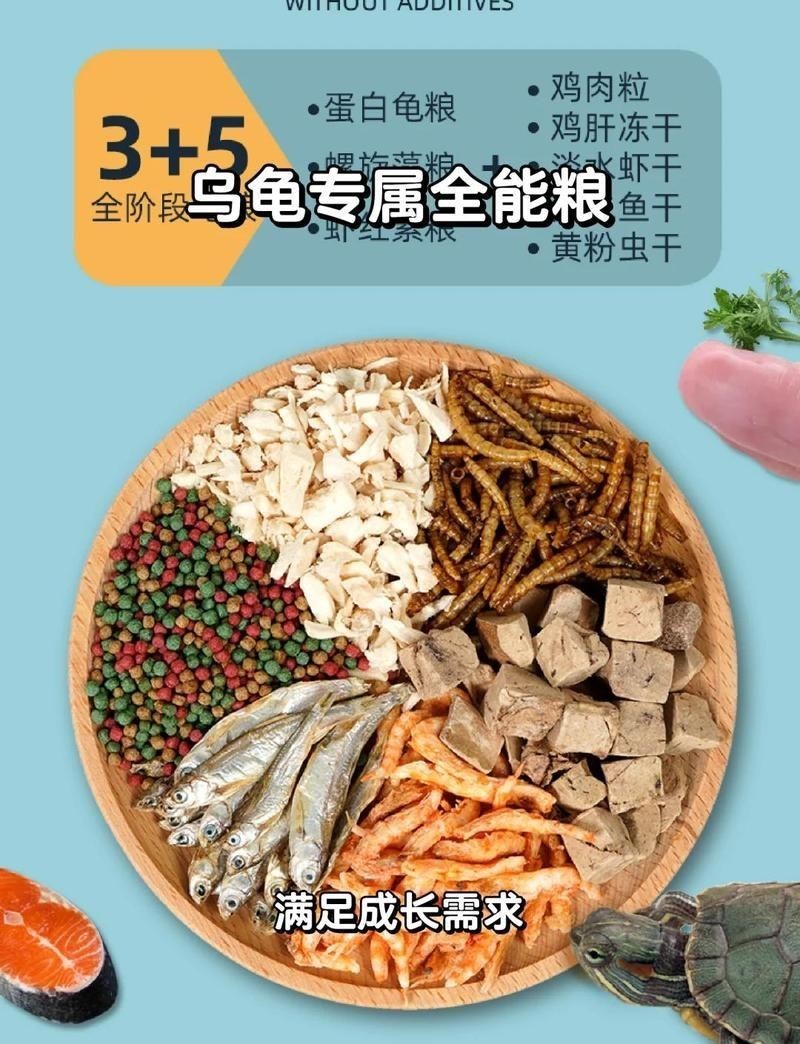 健康水族高鈣飼料測評，你可以按需選用，，直白風，健康水族高鈣飼料實測，吸睛風，解鎖！健康水族高鈣飼料真相，專業風，探秘健康水族高鈣飼料品質