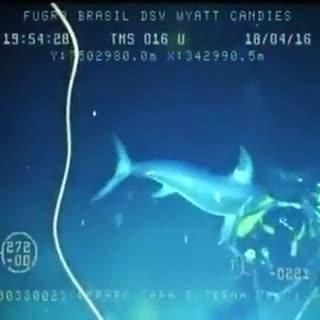 劍魚的劍是鼻子嗎，幾種不同風格的一句短標題供你參考，，疑問風，劍魚之‘劍’實為鼻子乎？，科普風，揭秘，劍魚的劍竟是鼻子！，好奇風，劍魚那把‘劍’