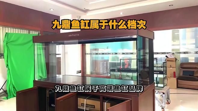 久鼎水族魚缸是正規品牌嗎，久鼎水族魚缸，正規與否探