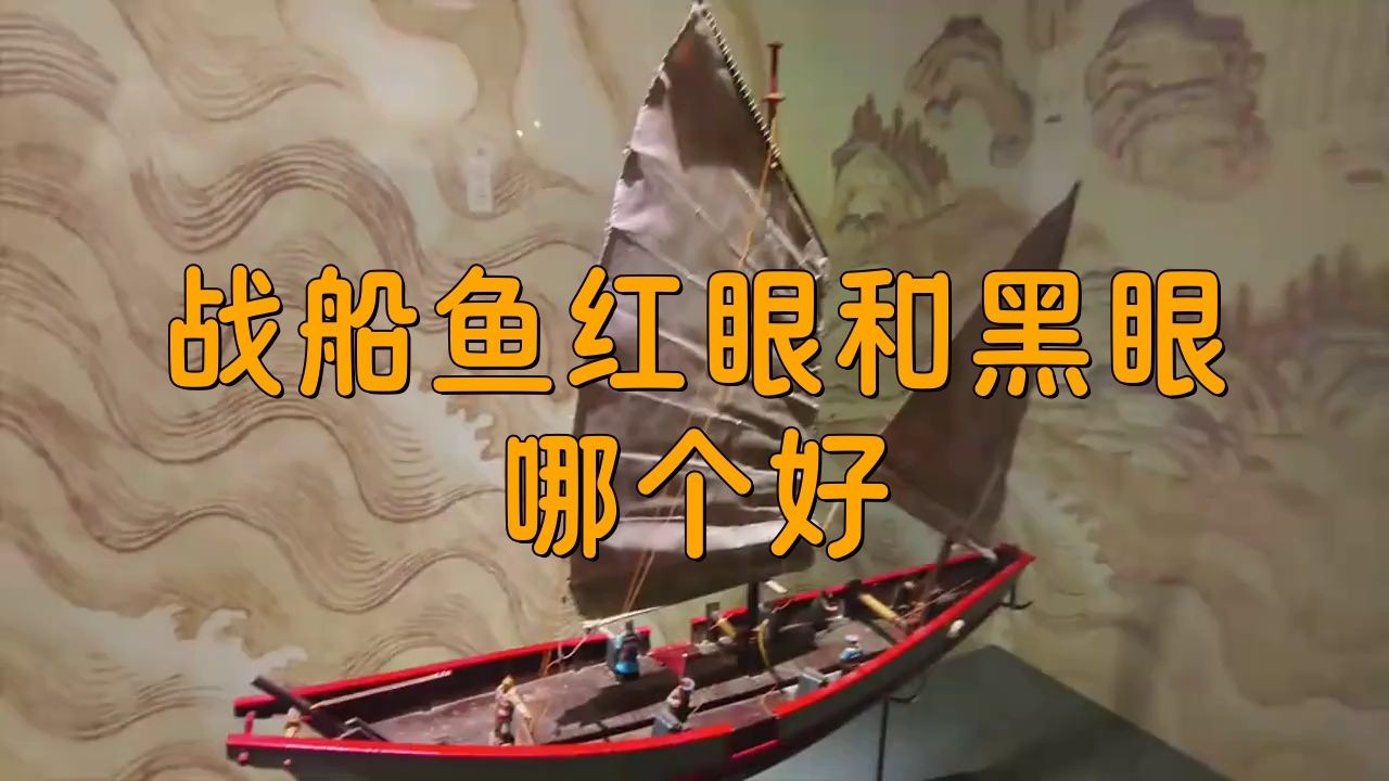 古代戰船魚哪個品種好，探秘古代戰船優選魚種，析古代戰船適配佳魚品種，尋古代戰船良魚之選