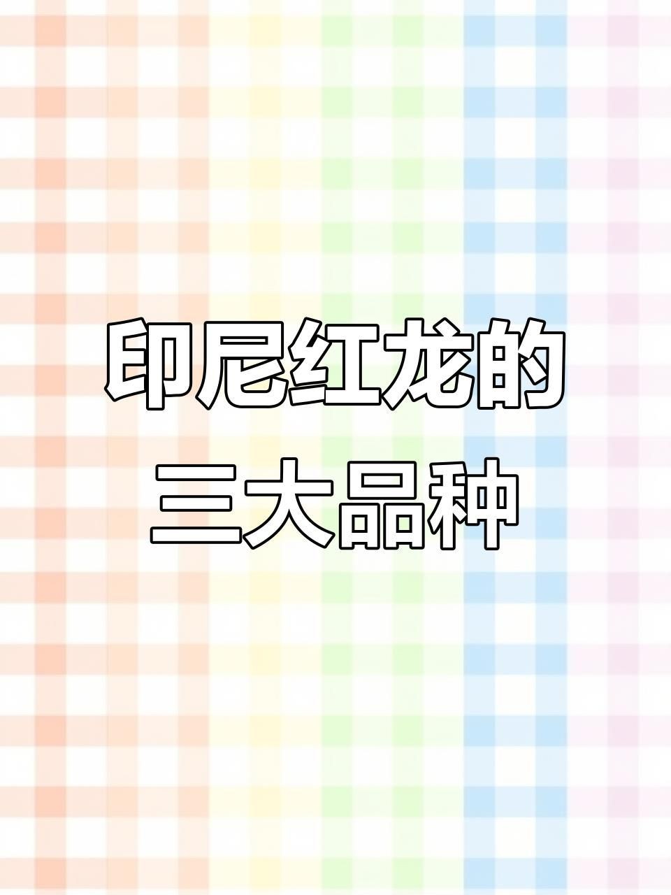 印尼紅龍哪個(gè)品種好，幾種不同風(fēng)格的簡短標(biāo)題供你參考，，印尼紅龍優(yōu)選品種解析，探尋印尼紅龍佳品品種，印尼