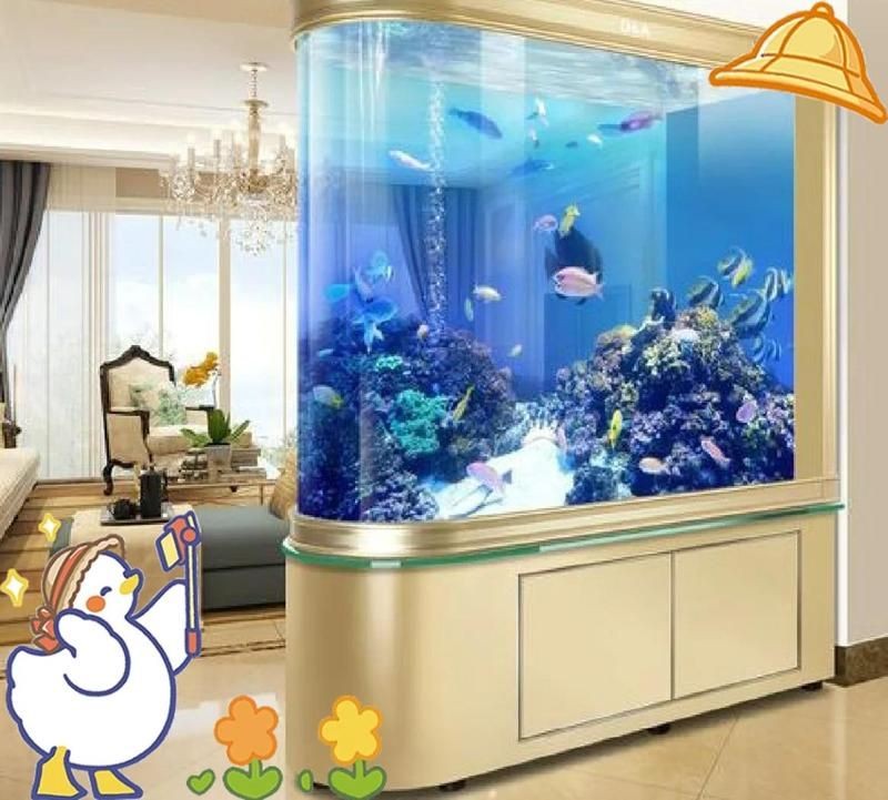 屬龍魚缸擺放最佳位置，缸吉位，屬龍者魚缸理想