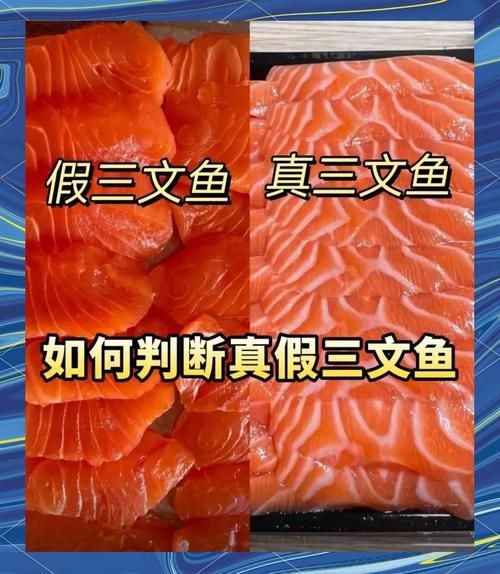 假三刀魚圖片，幾種不同風格的一句短標題供你參考，，趣觀假三刀魚圖鑒，邂逅假三刀魚影像，聚焦假三刀魚美圖