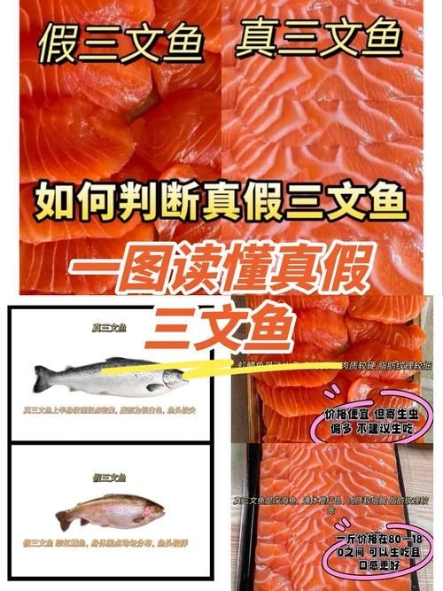 假三刀魚圖片，幾種不同風格的一句短標題供你參考，，趣觀假三刀魚圖鑒，邂逅假三刀魚影像，聚焦假三刀魚美圖