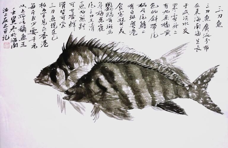假三刀魚圖片，幾種不同風格的一句短標題供你參考，，趣觀假三刀魚圖鑒，邂逅假三刀魚影像，聚焦假三刀魚美圖
