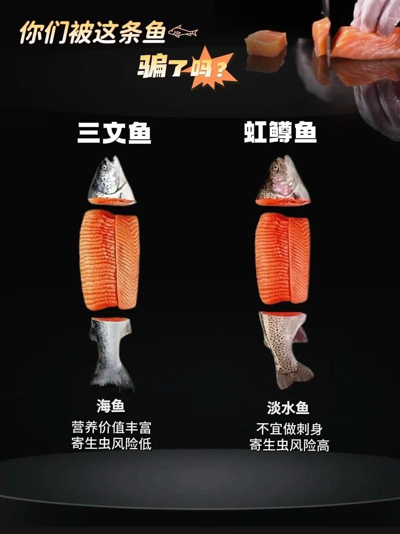 假三刀魚圖片，幾種不同風格的一句短標題供你參考，，趣觀假三刀魚圖鑒，邂逅假三刀魚影像，聚焦假三刀魚美圖