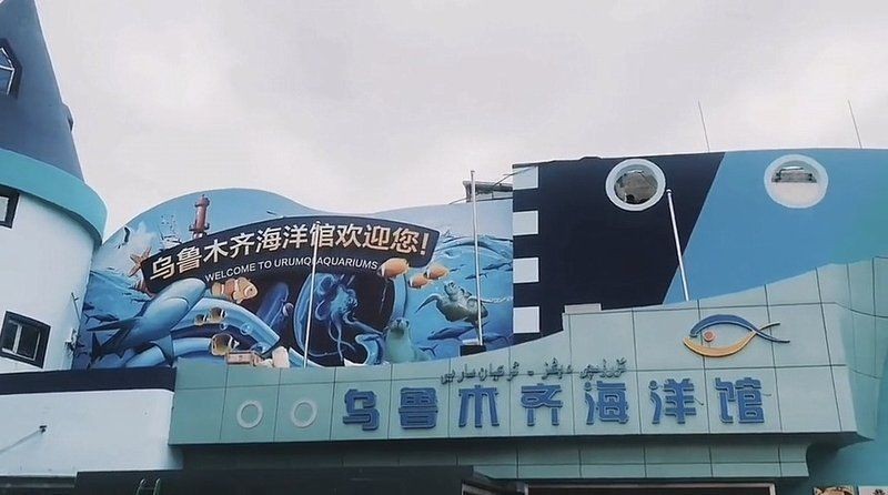 烏魯木齊水族館，文藝風(fēng)，烏魯木齊水族館，夢(mèng)幻海底之約，活潑風(fēng)，暢游烏魯木齊水族館，邂逅奇妙海洋！，簡(jiǎn)潔直白風(fēng)，