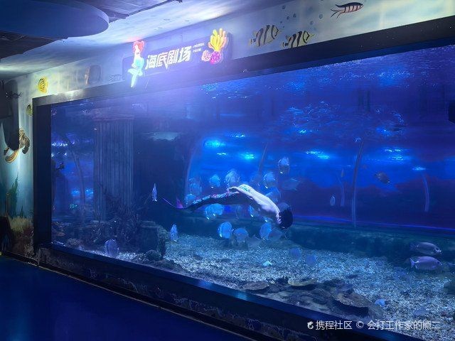 烏魯木齊水族館，文藝風(fēng)，烏魯木齊水族館，夢(mèng)幻海底之約，活潑風(fēng)，暢游烏魯木齊水族館，邂逅奇妙海洋！，簡(jiǎn)潔直白風(fēng)，