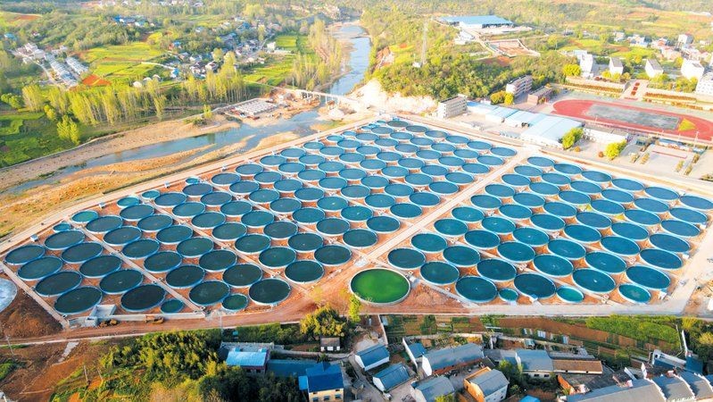 十堰魚缸批發市場，幾種不同風格的1句短標題示例，你可以按需選用，，直白型，十堰魚缸批發集散地，吸睛型，探秘十堰超全魚缸