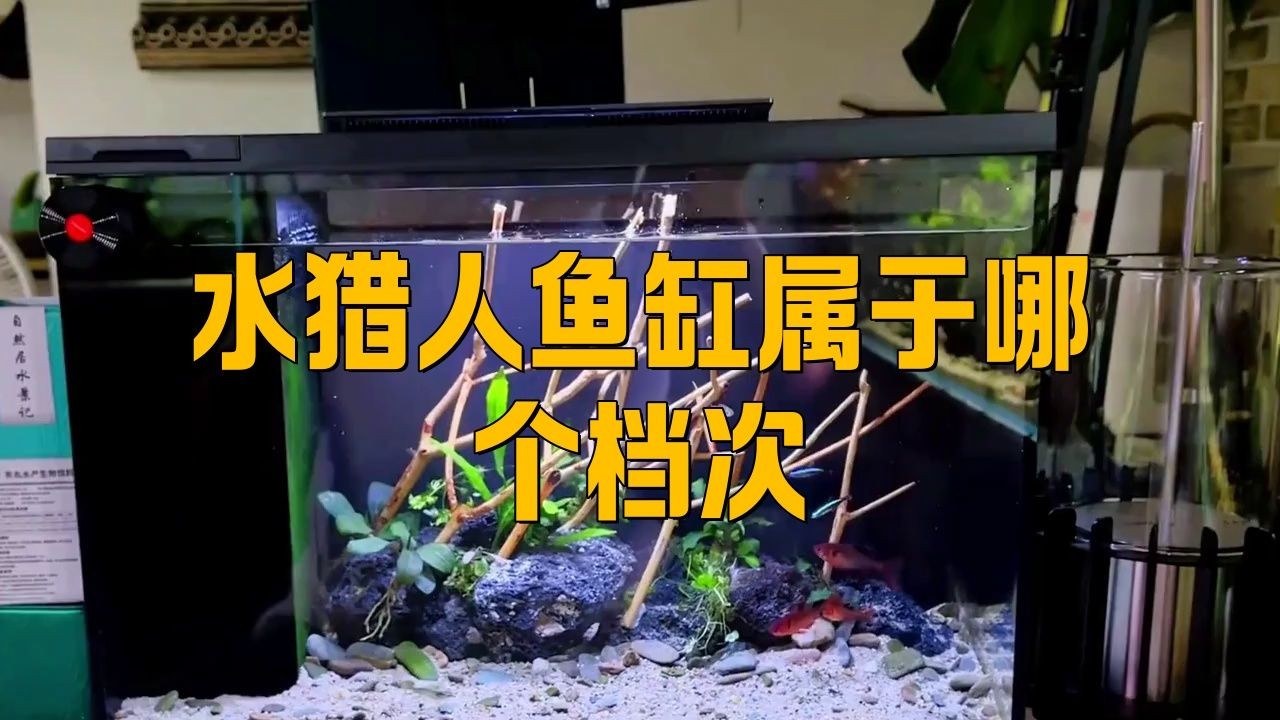 九鼎魚缸和水獵人哪個(gè)好，你可以按需選擇，，九鼎VS水獵人魚缸誰優(yōu)？，九鼎與水獵人孰
