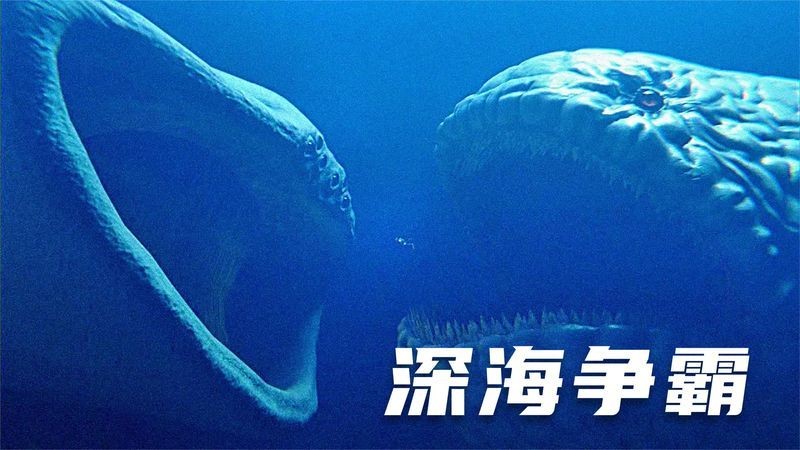 巨鯤vs巨齒鯊，你可以按需選用，，激戰！巨鯤對決巨齒鯊，巔峰較量，巨鯤×巨齒鯊，海中霸主之爭，巨鯤VS巨齒