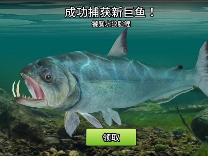 巨暴魚圖片，幾種不同風(fēng)格的一句短標(biāo)題供你參考，，震撼！巨暴魚驚艷亮相，聚焦，神秘巨暴魚全貌圖鑒，速看！超 巨暴魚圖片，幾種不同風(fēng)格的一句短標(biāo)題供你參考，，震撼！巨暴魚驚艷亮相，聚焦，神秘巨暴魚全貌圖鑒，速看！超 龍魚百科 第16張