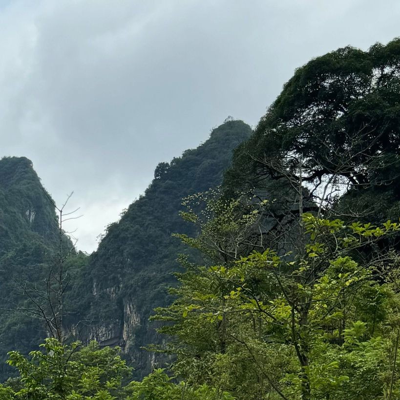 假死的狗頭魚，你可以按需選擇，，驚！假死的狗頭魚真相，奇聞，假死的狗頭魚之謎，聚焦，假死的狗頭魚